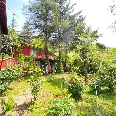 Hotel Mountain House