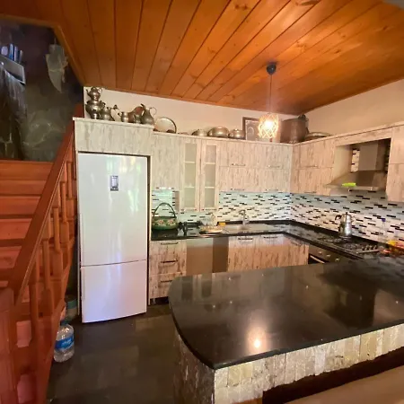 Mountain House 4*