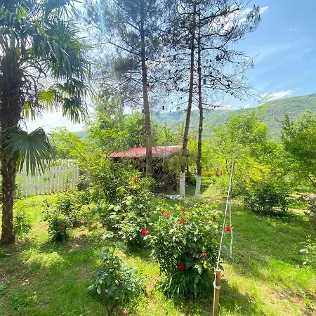 Mountain House 4*