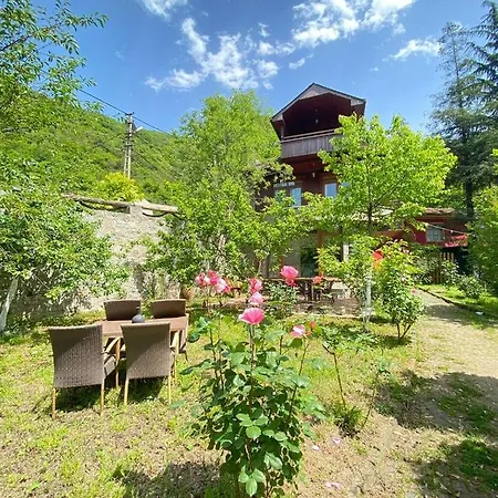 Hotel Mountain House 4*